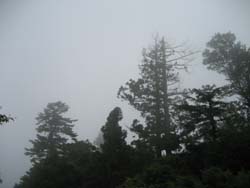 f:id:bon-ku-ra:20120819053243j:image