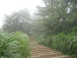 f:id:bon-ku-ra:20120820052920j:image