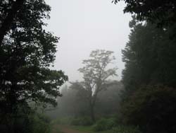 f:id:bon-ku-ra:20120822063726j:image f:id:bon-ku-ra:20120822063726j:image