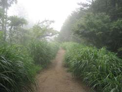 f:id:bon-ku-ra:20120823051804j:image