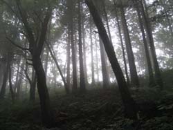 f:id:bon-ku-ra:20120824054710j:image f:id:bon-ku-ra:20120824054710j:image