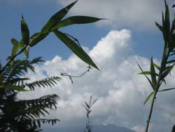f:id:bon-ku-ra:20120825052230j:image