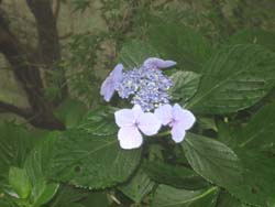 f:id:bon-ku-ra:20120829052318j:image