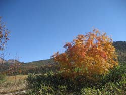 f:id:bon-ku-ra:20121024052700j:image
