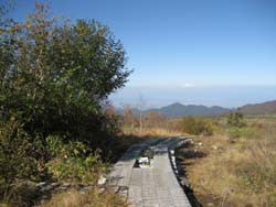 f:id:bon-ku-ra:20121101052547j:image
