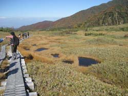 f:id:bon-ku-ra:20121103051622j:image