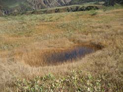 f:id:bon-ku-ra:20121105052433j:image