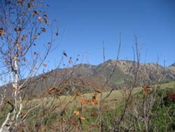 f:id:bon-ku-ra:20121108051601j:image