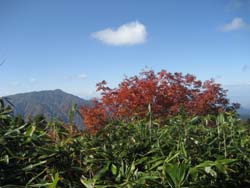 f:id:bon-ku-ra:20121114052958j:image f:id:bon-ku-ra:20121114052958j:image