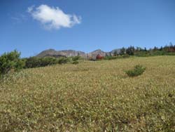 f:id:bon-ku-ra:20121116053422j:image