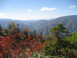 f:id:bon-ku-ra:20121119043052j:image