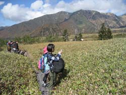 f:id:bon-ku-ra:20121122042419j:image f:id:bon-ku-ra:20121122042419j:image