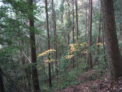 f:id:bon-ku-ra:20121221060243j:image