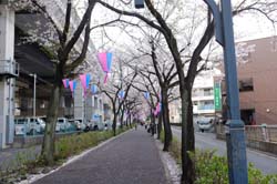 f:id:bon-ku-ra:20130406051417j:image