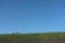 20131116060808