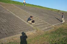 20131117051053