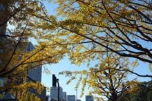 20131203043449