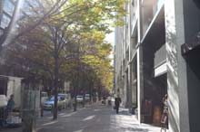 f:id:bon-ku-ra:20131213044736j:image