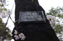 f:id:bon-ku-ra:20140405050320j:image