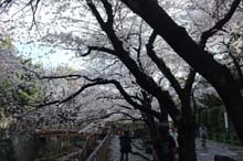 f:id:bon-ku-ra:20140421050052j:image