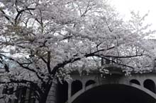 f:id:bon-ku-ra:20140423053038j:image