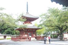 f:id:bon-ku-ra:20140917053020j:image