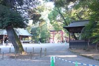 f:id:bon-ku-ra:20150306052011j:image