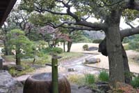 f:id:bon-ku-ra:20150329054359j:image