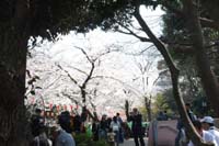 f:id:bon-ku-ra:20150408050748j:image