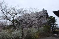 f:id:bon-ku-ra:20150609044404j:image