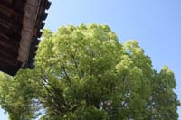 f:id:bon-ku-ra:20150719054435j:image f:id:bon-ku-ra:20150719054435j:image