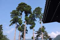 f:id:bon-ku-ra:20150816051049j:image