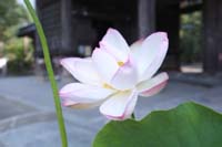 f:id:bon-ku-ra:20150820052351j:image