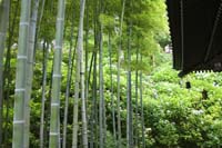 f:id:bon-ku-ra:20150926054306j:image