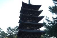 f:id:bon-ku-ra:20151107042821j:image