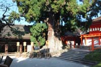 f:id:bon-ku-ra:20151119045244j:image