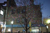 f:id:bon-ku-ra:20151229055740j:image
