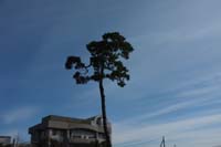 f:id:bon-ku-ra:20160109054617j:image