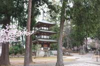 f:id:bon-ku-ra:20160615051439j:image:right