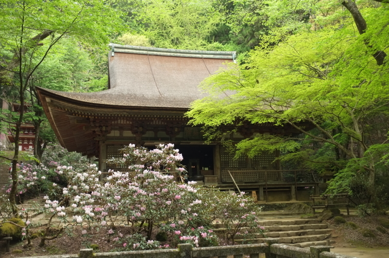 f:id:bon-ku-ra:20170506095534j:image:w360:right