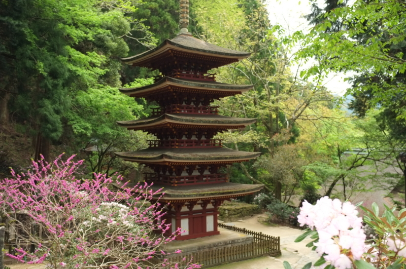 f:id:bon-ku-ra:20170506100421j:image:w360:right