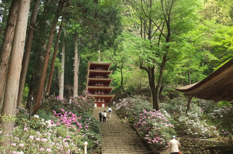 f:id:bon-ku-ra:20170506101605j:image:w360:right