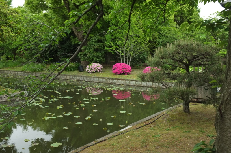 f:id:bon-ku-ra:20170506133323j:image:w360:right f:id:bon-ku-ra:20170506133323j:image:w360:right