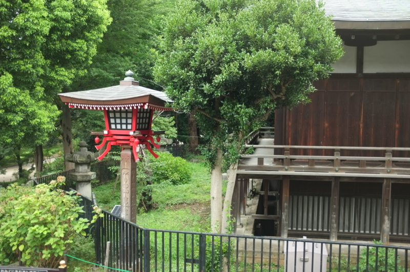f:id:bon-ku-ra:20170811154314j:image:w360:right