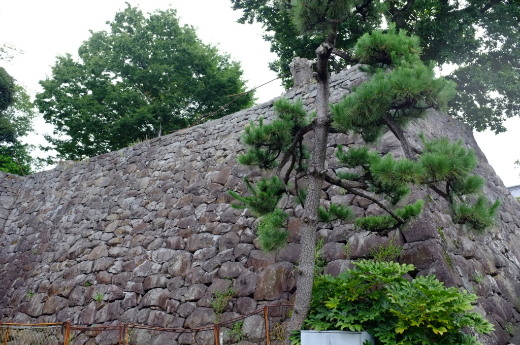 f:id:bon-ku-ra:20180728131431j:plain f:id:bon-ku-ra:20180728131431j:plain