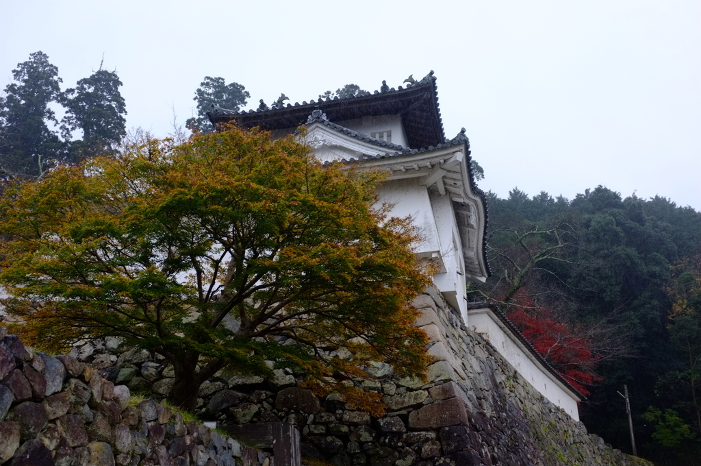 f:id:bon-ku-ra:20181117100222j:plain f:id:bon-ku-ra:20181117100222j:plain