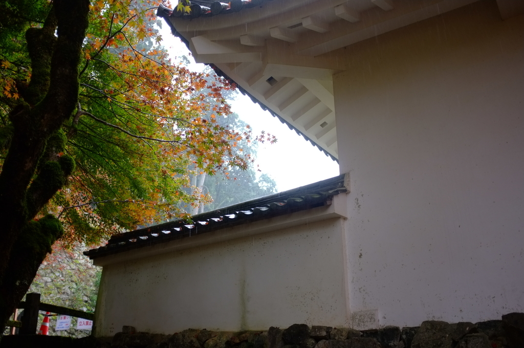 f:id:bon-ku-ra:20181117100817j:plain f:id:bon-ku-ra:20181117100817j:plain