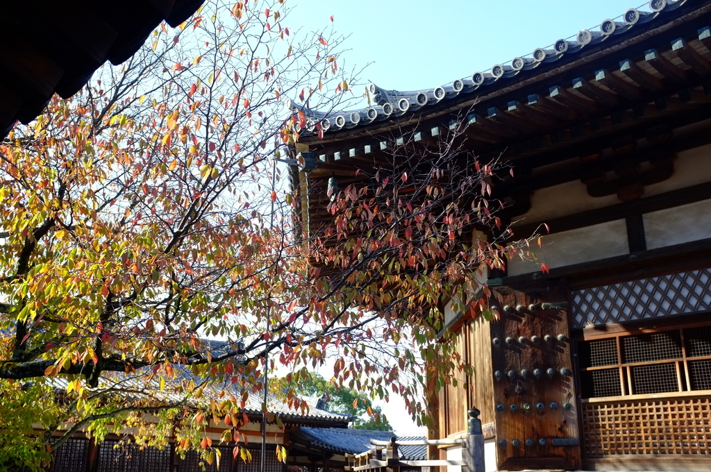 f:id:bon-ku-ra:20181118095132j:plain f:id:bon-ku-ra:20181118095132j:plain