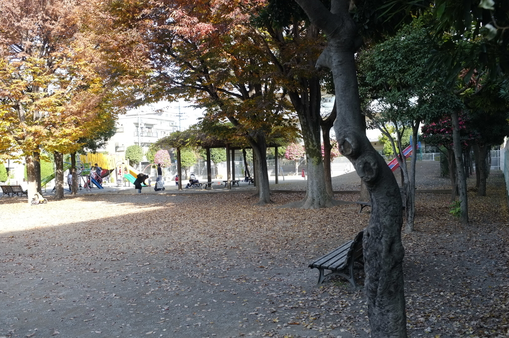 f:id:bon-ku-ra:20181201112604j:plain