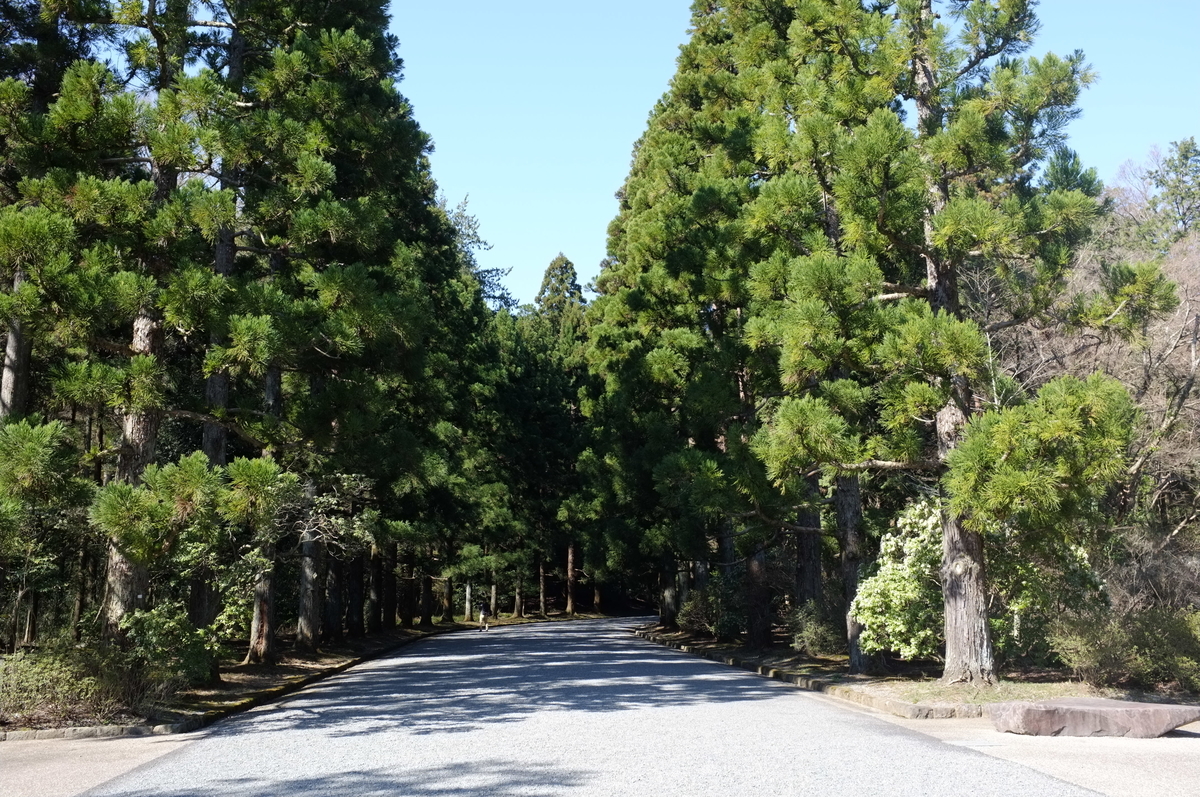 f:id:bon-ku-ra:20190401094340j:plain f:id:bon-ku-ra:20190401094340j:plain